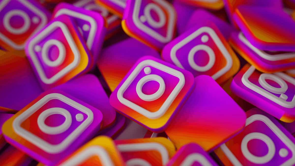 instagram followers